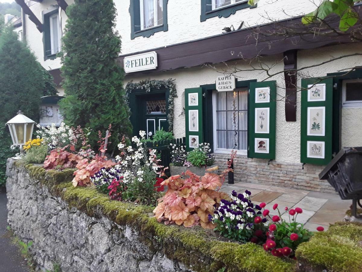Hotel Feiler Muggendorf  Екстер'єр фото
